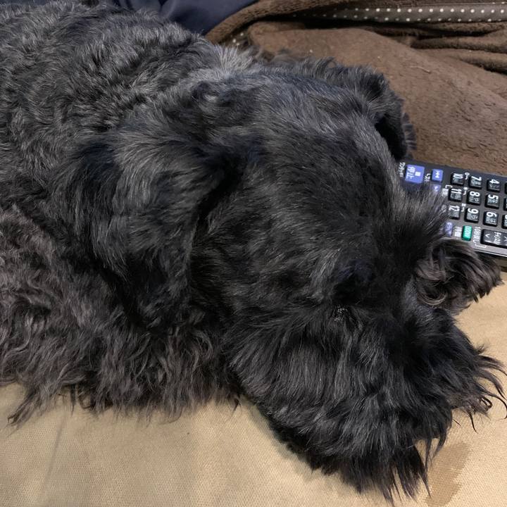 6312ae36 ff24 450b 9e8c 7b9e02d34279 1619923011564