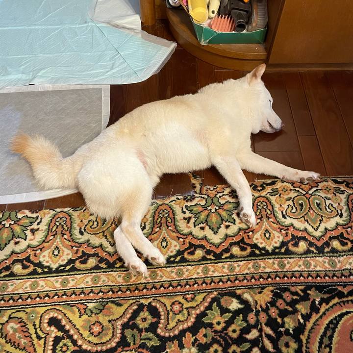 631307f1 6f39 466b 83fb db6193074b8e 1634262747852