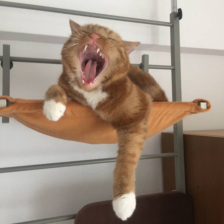 631347b5 cb9d 4005 a717 b62165b520e0 1531527731617