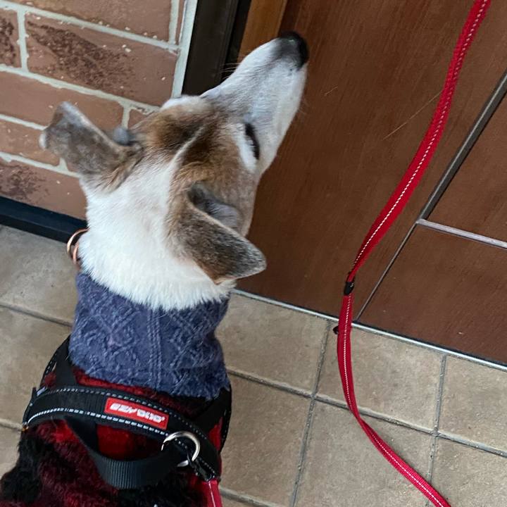 63137413 44a3 43c6 941a d35e812231eb 1613601067782