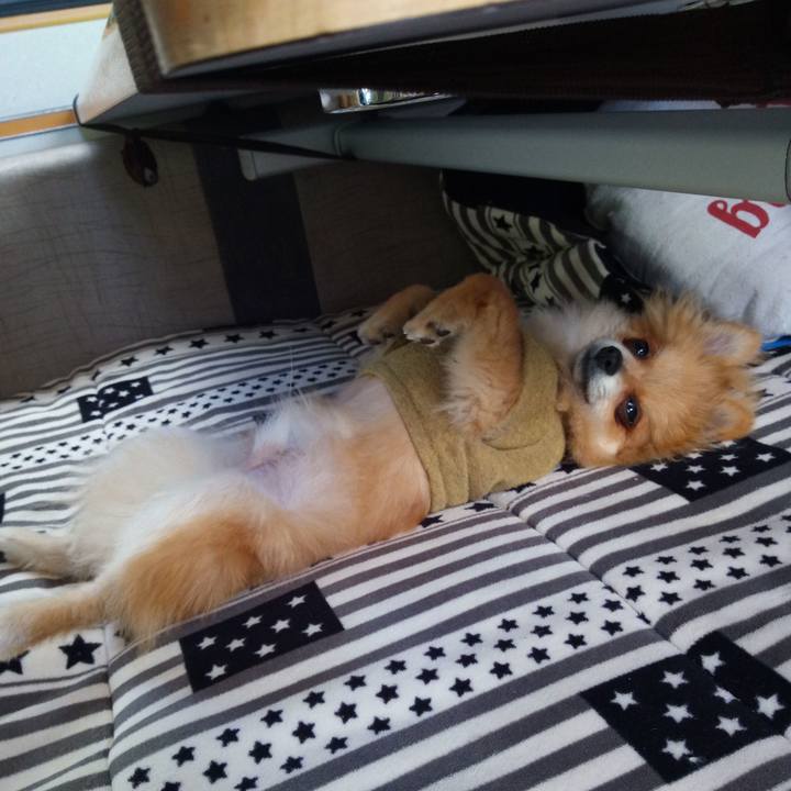 63137840 918b 4098 ae2d f360714a7c21 1524053625931