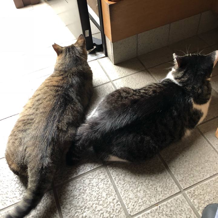 6313a9f2 99cb 4b64 b4cf 08ccac49f287 1530784698489