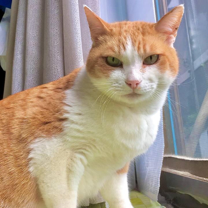 6313b78f a03c 40da a544 556c083dec04 1583135306362