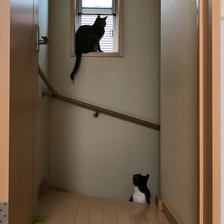 6313ff0c 0e51 4e68 b238 19e579e86227 1529300675849