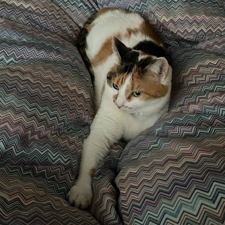 631402c7 0741 4626 971f e7cdec6506e3 1708295618319