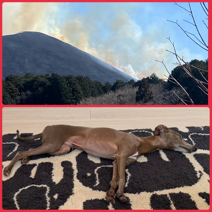 63141f14 a930 4e5f 8e23 47e8862a7fd0 1771145792373