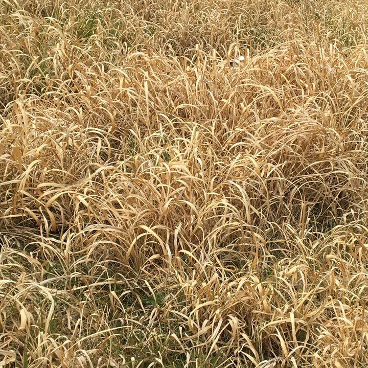 63144868 9aec 4616 990e 79d60f78a73a 1552962981929