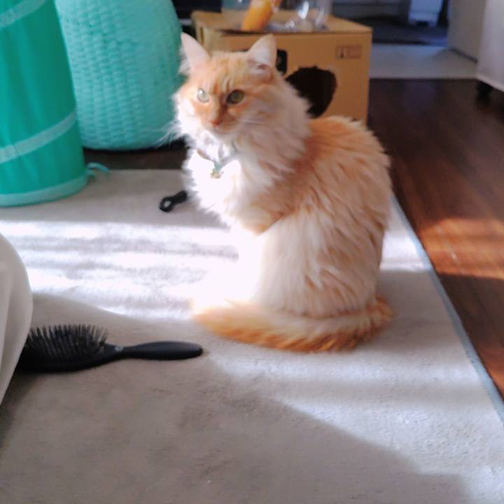 6314840c 889c 4dc5 a4d7 25c4dd390553 1706088816081