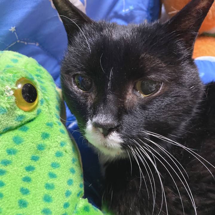 6314bdd6 7685 43aa 8192 c3f6ad3dd66d 1641631875084