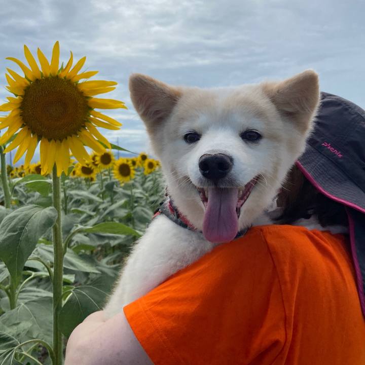 6314bffc c5bd 4edd b50c 0c9319c817aa 1660524539540