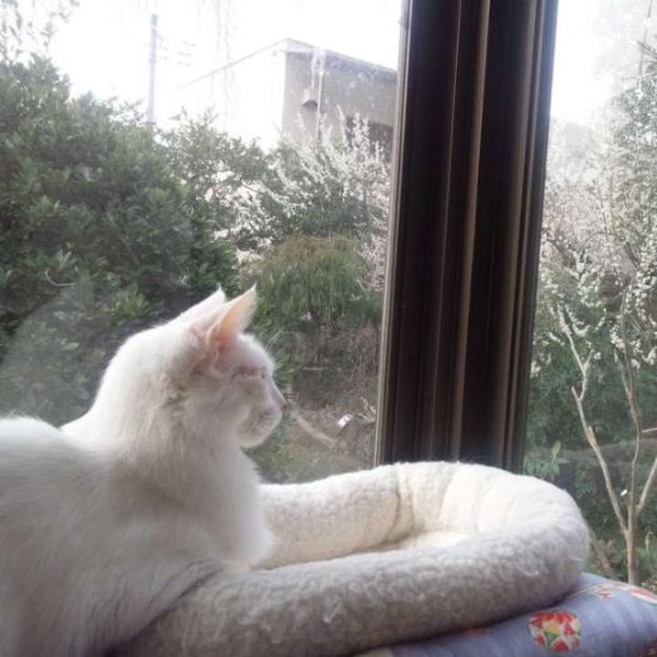 6314c7b1 cb7a 4a0f 946d 9399e1cc93c5 1678937528347