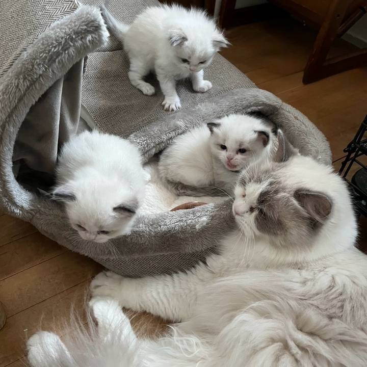 6314d8fd 74d4 49da b8cc 77bbc67e4518 1766355056717