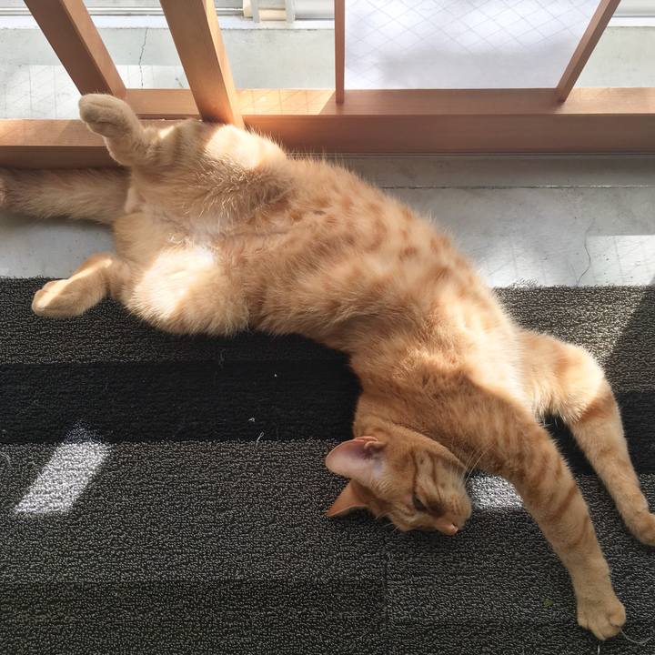 63152e37 ff23 4503 a57e d553f407e93c 1539174914808