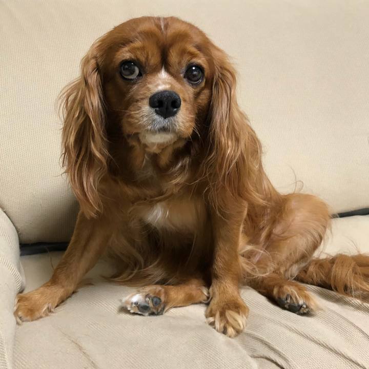 63154234 9862 4138 806d 6a728ac45c6d 1596543821688