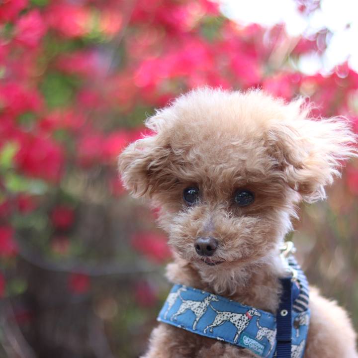 6315981d 02a7 44ed b64b fa7a8666d88c 1588593124525