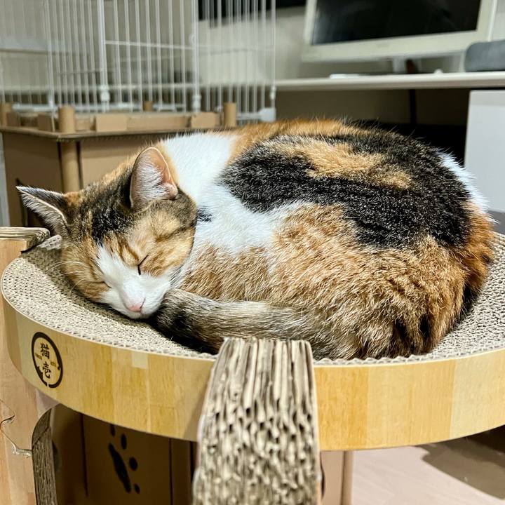 6315acb8 03ab 471f b61d 75175a4bce5c 1767525056975