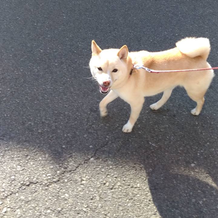 6315d5df 7336 4817 aa9c 9ddfc9a6146e 1550904208405