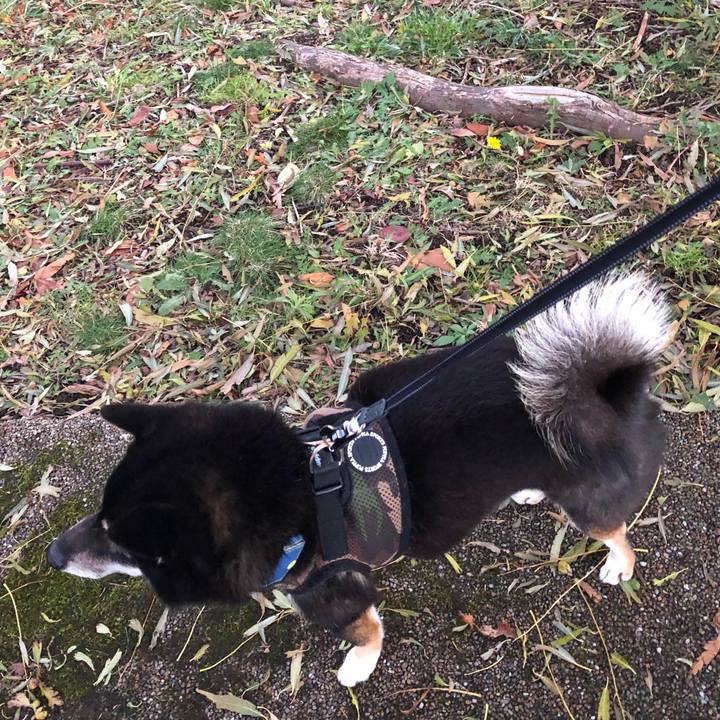 6315ee13 172f 4858 bcc2 b7961ea0e013 1543226508860