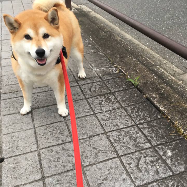 6315f6f0 198a 4dba b3e8 cd64e2a2ea33 1592471124390