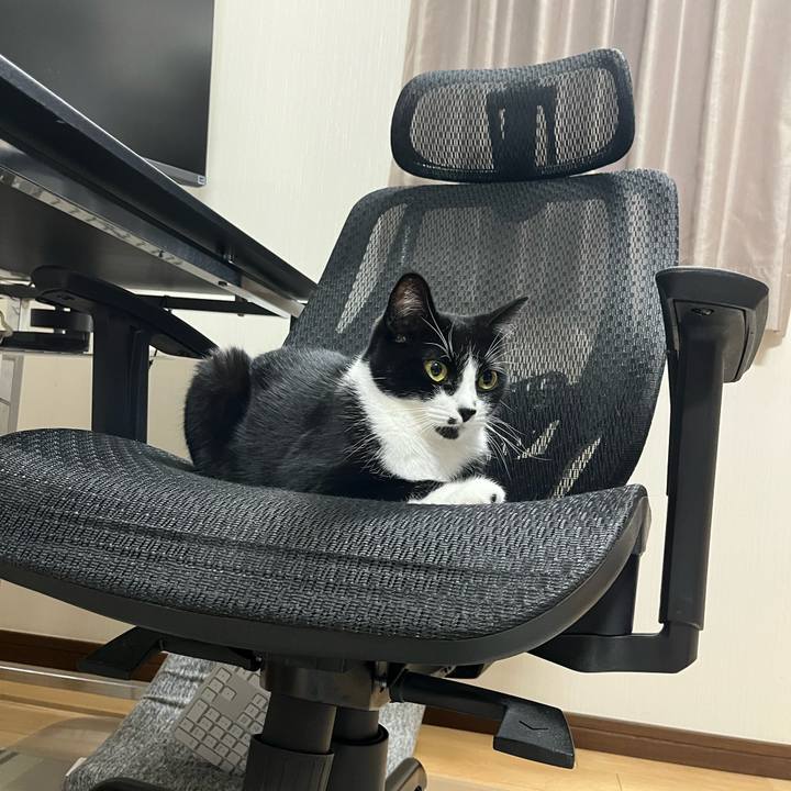 63161faa 9bed 42f9 b5c8 b0b735b71193 1722642856021