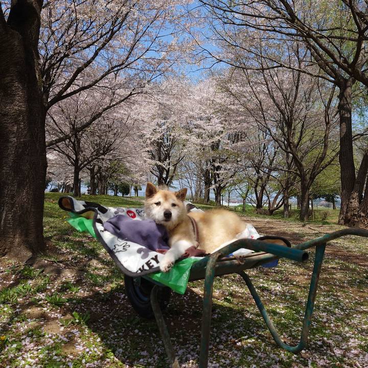 63165c0a bed0 4047 a5da 3e0f666ac039 1649470915794