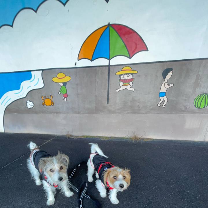 6316730e 4d48 4671 99af 19a164654aac 1763604704555