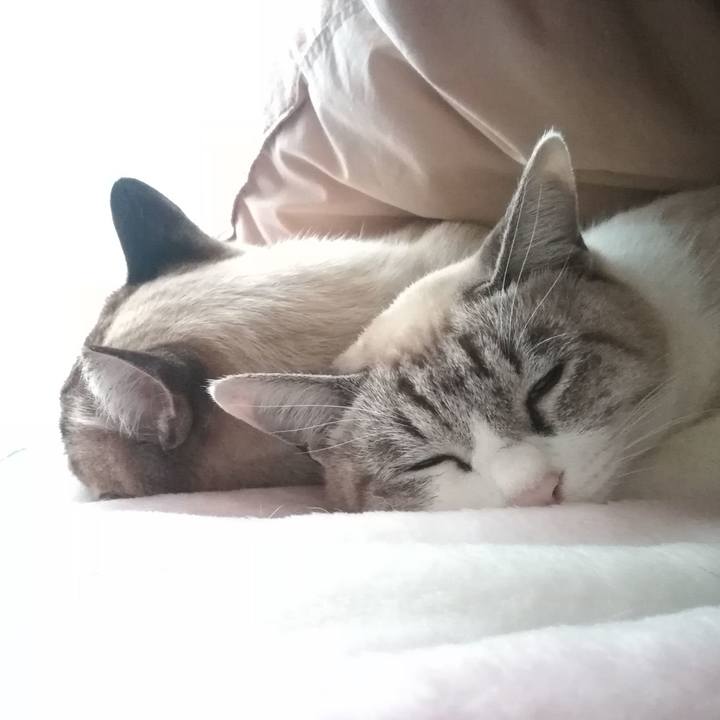 6316cd5b ca06 43c9 a88d 207899f79165 1573944447226