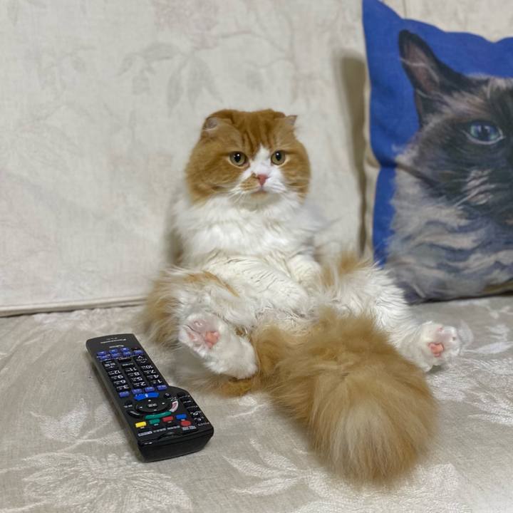 6316ddf5 a46d 4451 900a 7eeb4041754d 1606800317091