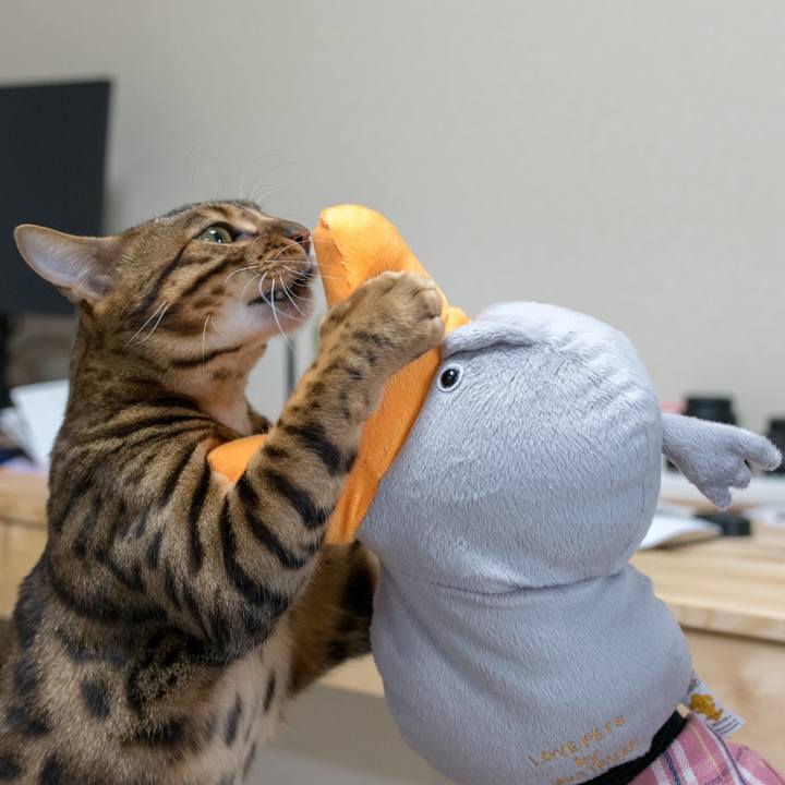 6316f083 ce04 4c05 8ef2 95f8ac452e96 1521026143025