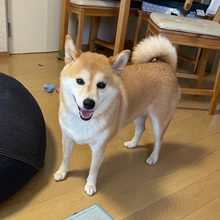 631734f4 f197 46bd 9fea 83fda33afd4e 1590915579520