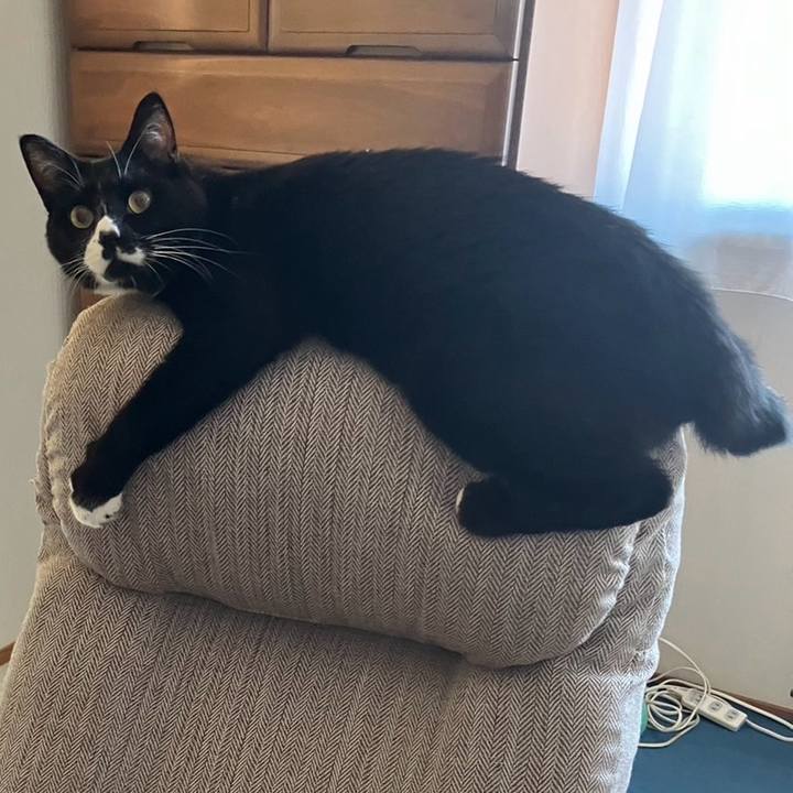 63173a96 42a2 41d9 bd18 a7603a8f9afc 1728622786702