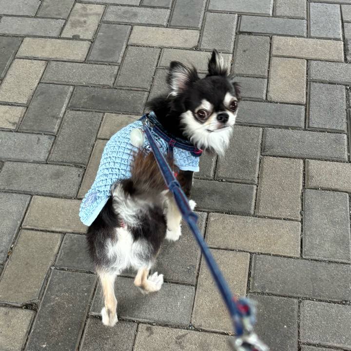 631764c1 f2ef 48ab ae21 0e2f3a307b6b 1726502509602