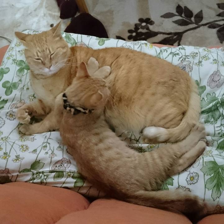 63177f09 5488 4d37 9234 13d5d27c4b2b 1542615785972