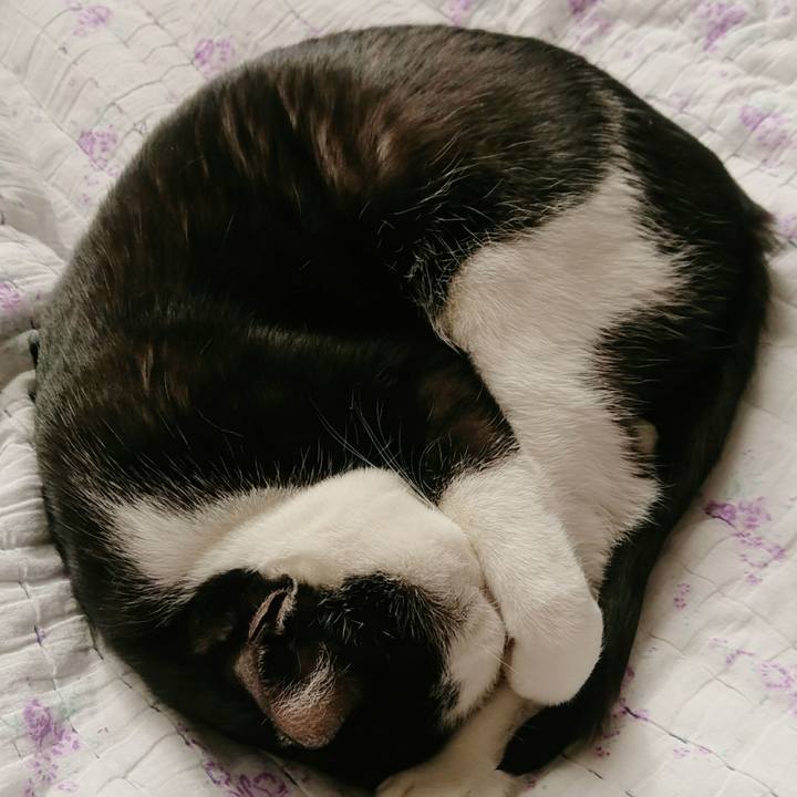 6317aa28 bcac 48d1 b0fc 94249db10c4d 1515027772675