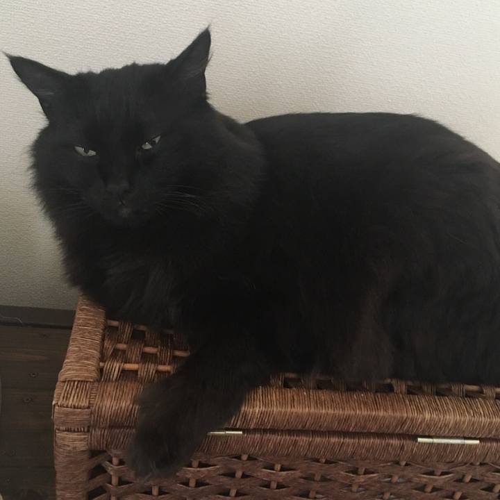 6317c15e 61ec 4678 864d f9aaab1bfcbf 1556839599154