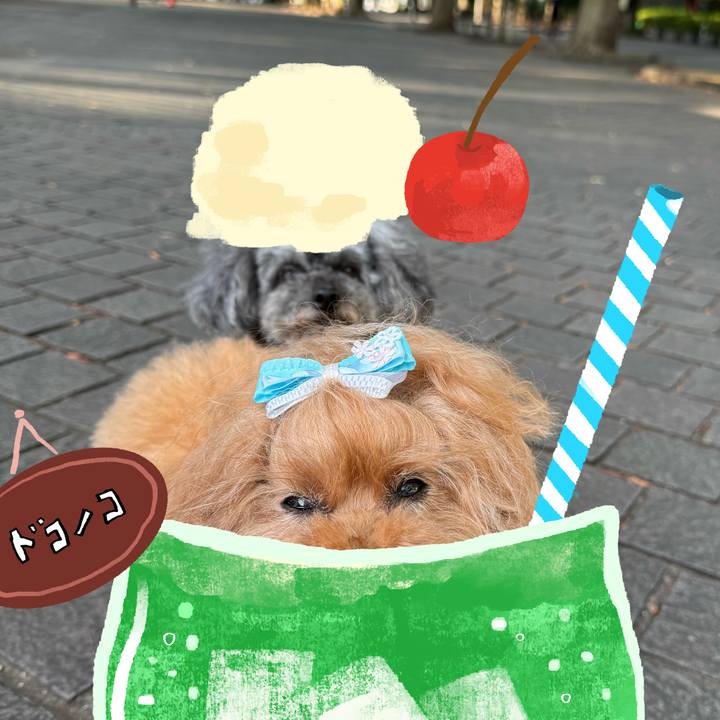 6317d679 383c 430d 9adc adb5b437b1b4 1755125048784