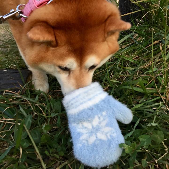 6317f094 5867 4ca7 b0e1 199a762ef6c0 1573503906165