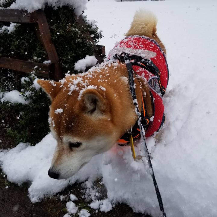 63180352 e9f7 47b7 9977 0b507242bd5d 1582787856880