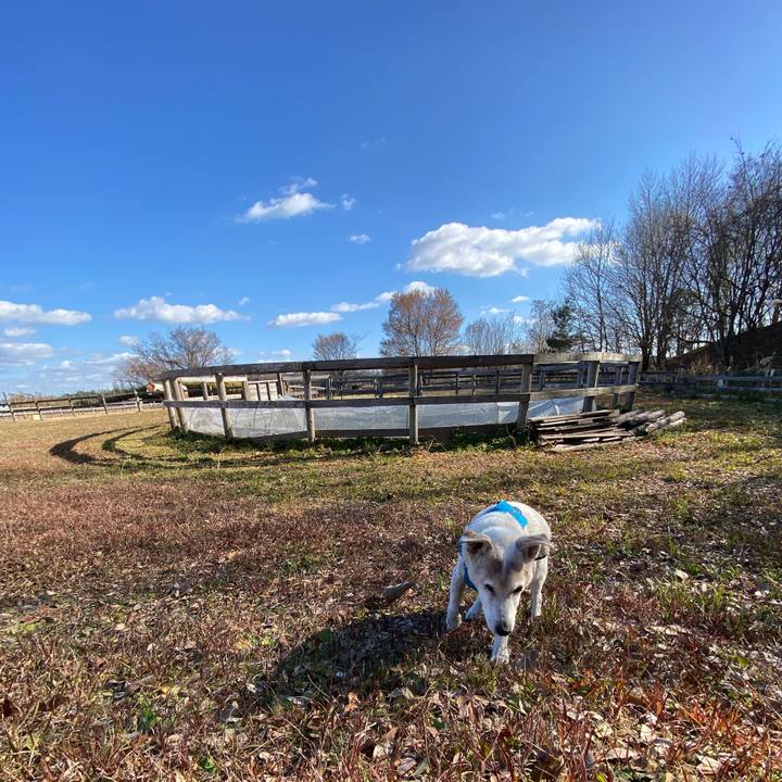 631805ea 0089 47af ac20 4f56edebe1b1 1735723751568