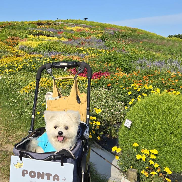 63180a41 4a6e 47d5 8e12 e4b9f20dae21 1757127194370