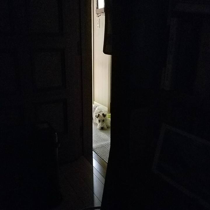 63184e02 b8e9 48a0 a3d3 2398c3835668 1527261953101