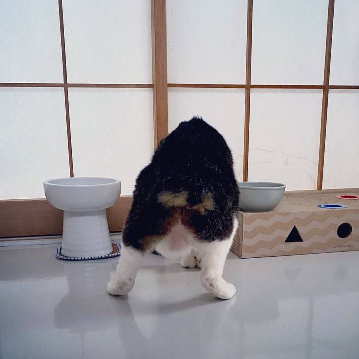 6318cbb9 dc74 4725 9ab3 887b45b7d572 1594386236827