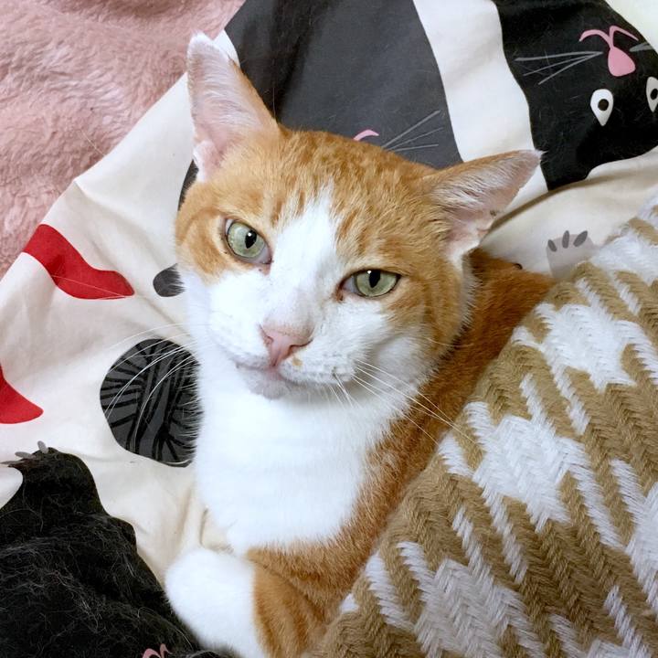 631904c6 49e4 4305 b3a6 80673125b652 1570183189988