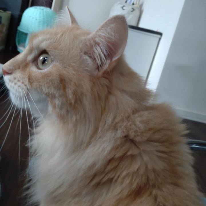 6319166c 8e08 49b9 9dc7 f681d293441f 1757379402496