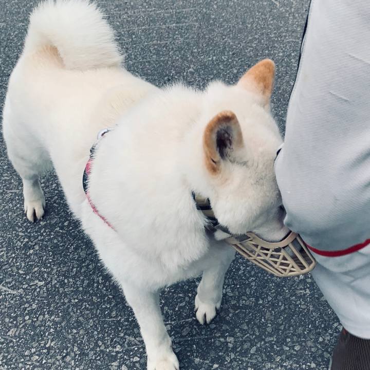 63197aa4 fafc 436b a0b6 6be307486e7e 1591648975542