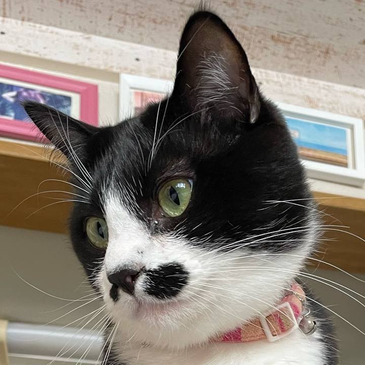 63199321 58a0 4877 82c0 eba9bfa00e69 1679362696565