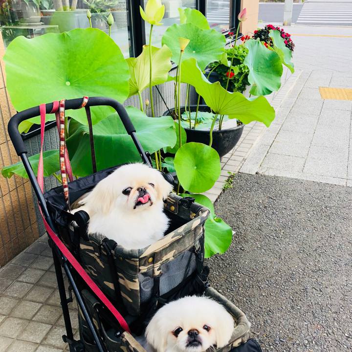 63199823 f008 4fa8 870d 4e4a7c8c1739 1592340115755