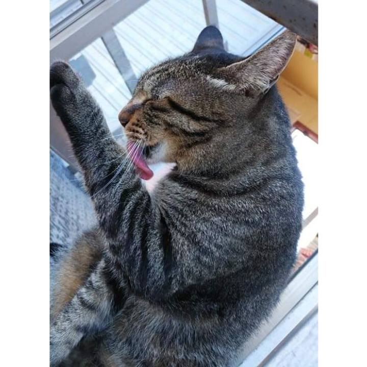 6319b4c8 2036 4646 8c37 68e06ea1b6b8 1629435054779