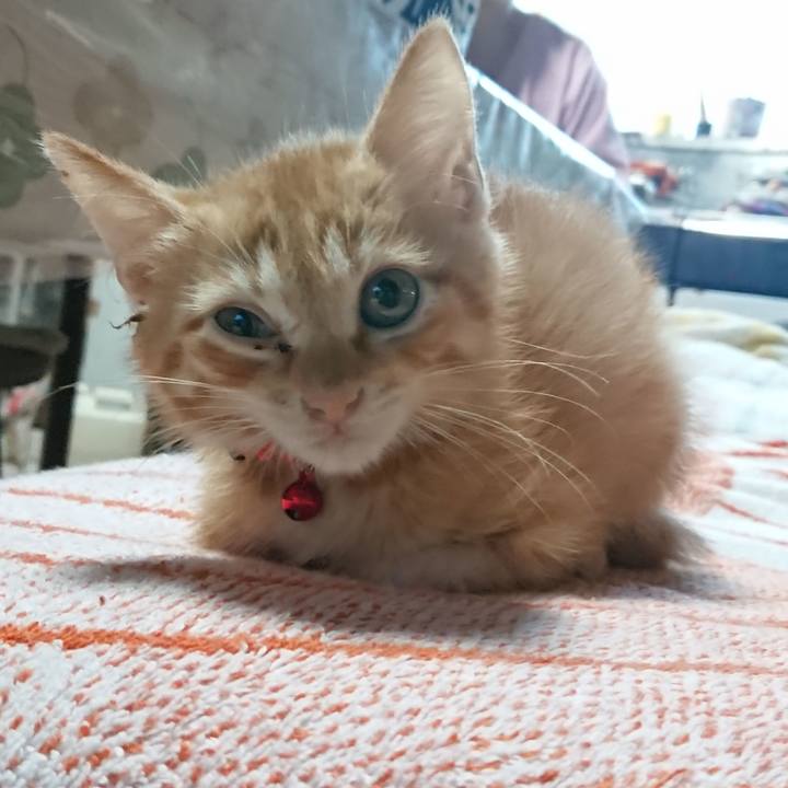 6319b6fd 34ac 4f94 9253 b819072a8c48 1628637379481