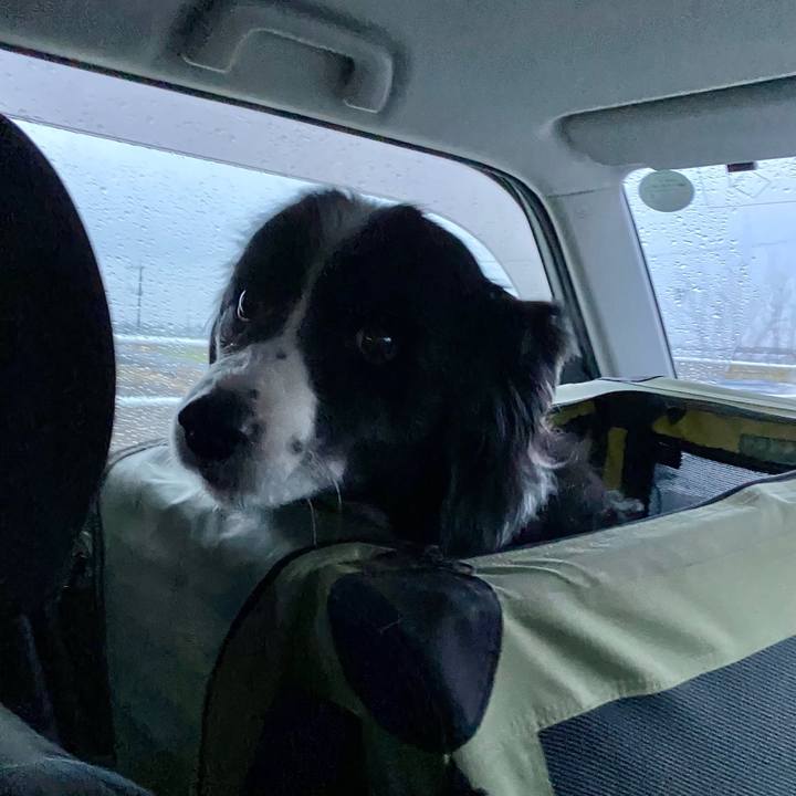 6319e14f d0dc 4c5a a5bb eac525172df0 1644703839248